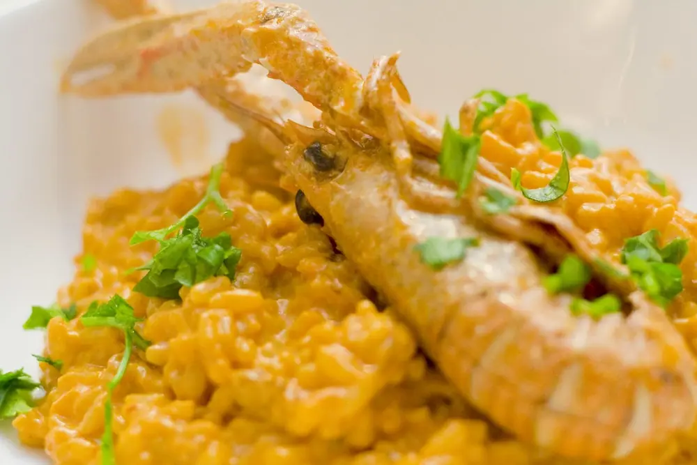 Risotto agli scampi