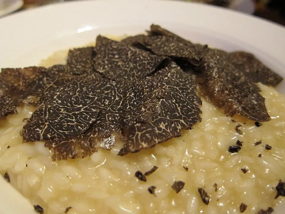 Risotto al tartufo bianco d'Alba